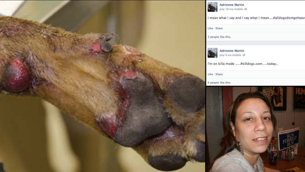 En hund skadades och visades sedan upp på Facebook